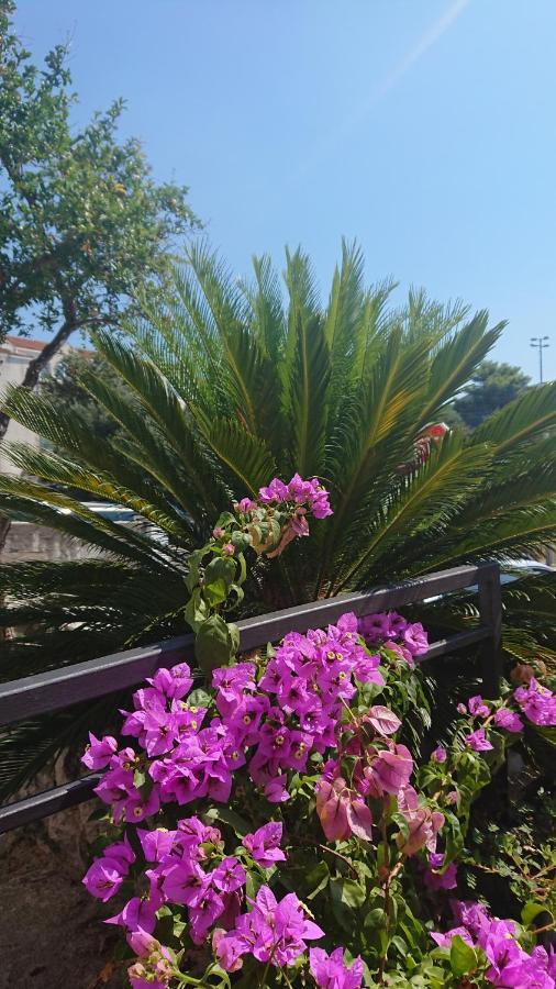 Apartments Rose Baška Voda Екстериор снимка